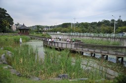 궁동저수지 생태공원,국내여행,여행지추천