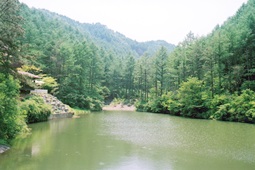 만인산자연휴양림,국내여행,여행지추천