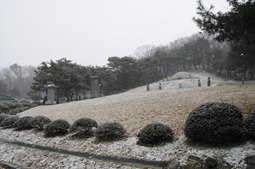 순흥안씨양도공파묘군,국내여행,여행지추천