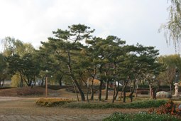 천안삼거리공원,국내여행,여행지추천